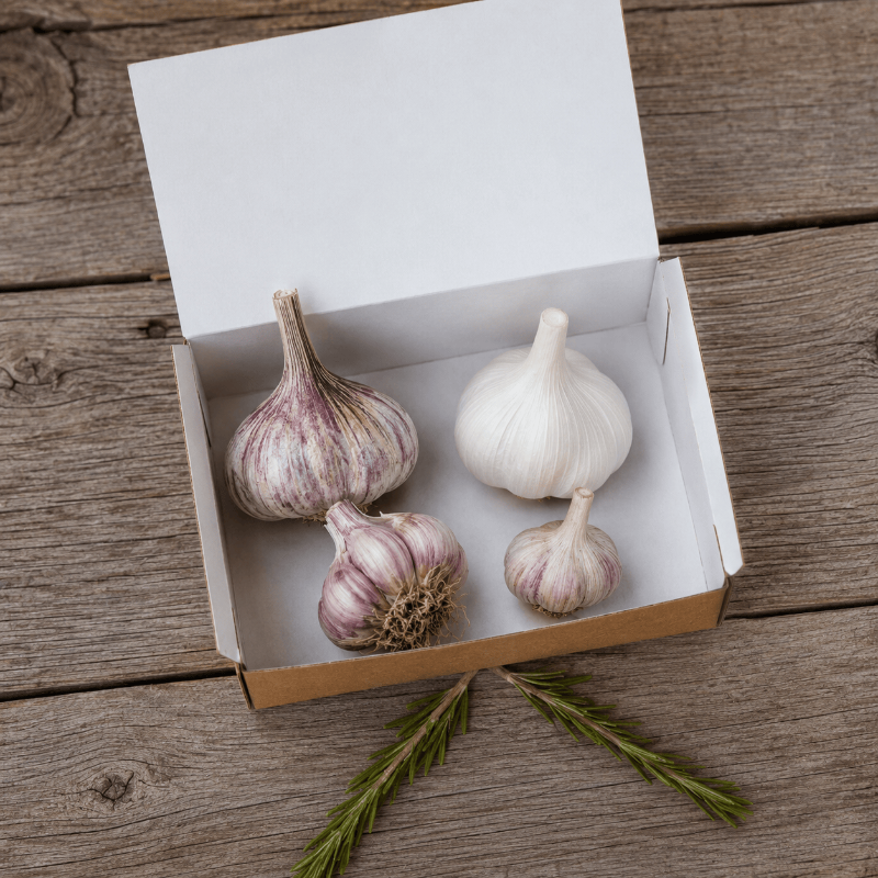 Gourmet Hardneck Garlic Sampler Set Grow Organic