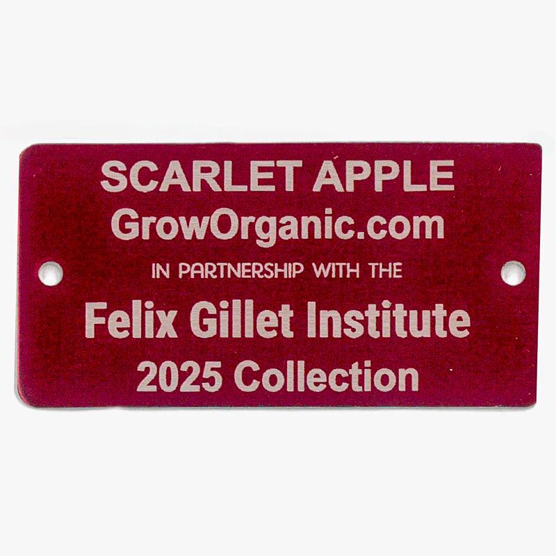 Scarlet Apple Tree Felix Gillet Institute