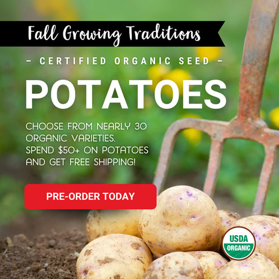 Advertisement for certified organic seed potatoes with a pile of potatoes and a garden fork in the background.