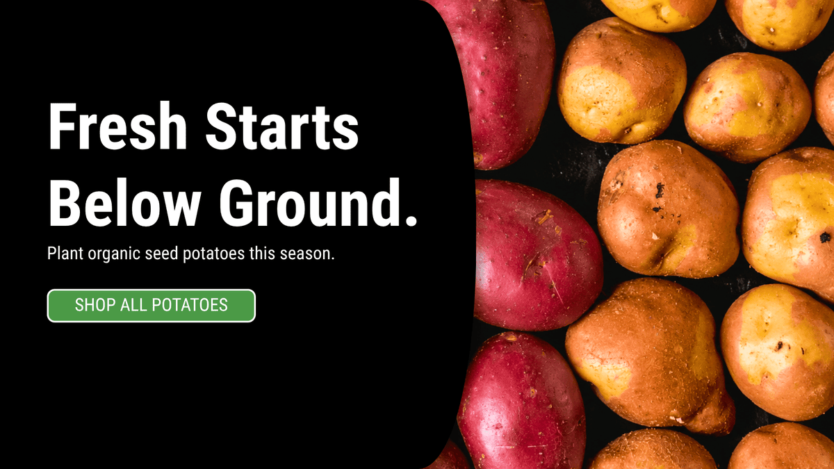 Promotional banner for fresh seed potatoes with the text 'Fresh Starts Below Ground.' and 'SHOP ALL POTATOES' on a black background, alongside a close-up photo of red and yellow potatoes on the right.