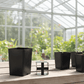 2.38 X 3.75" Band Pots- 540 pots PV Drop Ship