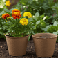 Pulp Pot (7 Gal) Grow Organic