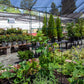 Triangle Folding Tomato Cage Grow Organic