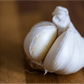 Organic German Xtra Hardy Garlic (Lb) Grow Organic