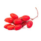 Organic Goji Berries (1 Gallon) Grow Organic