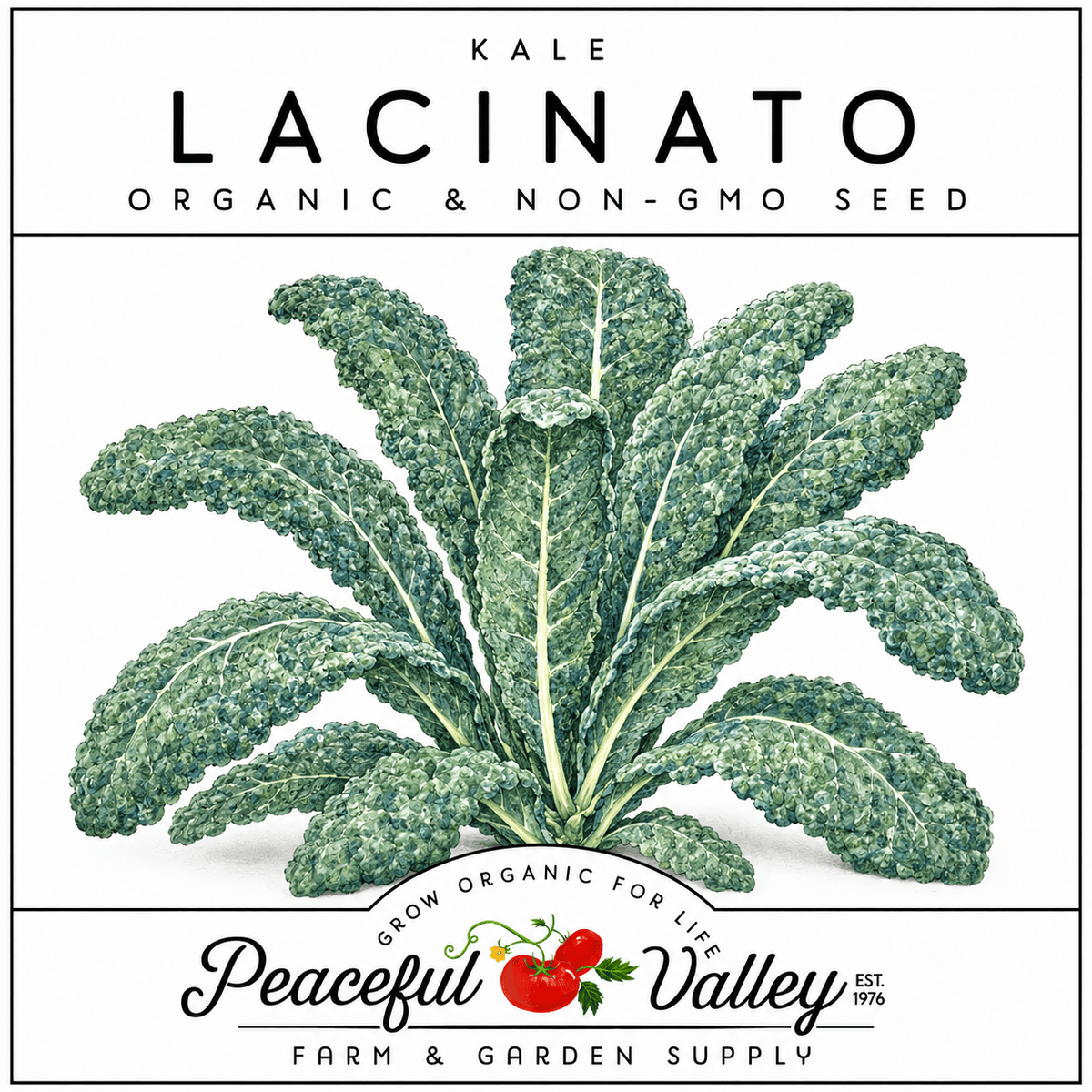 Peaceful Valley Cool Season Vegetables Stickers Lacinato Kale Grow Organic