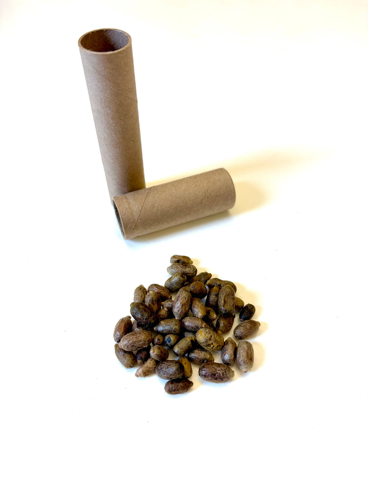 Spring Mason Bees (40ct) CrownBees