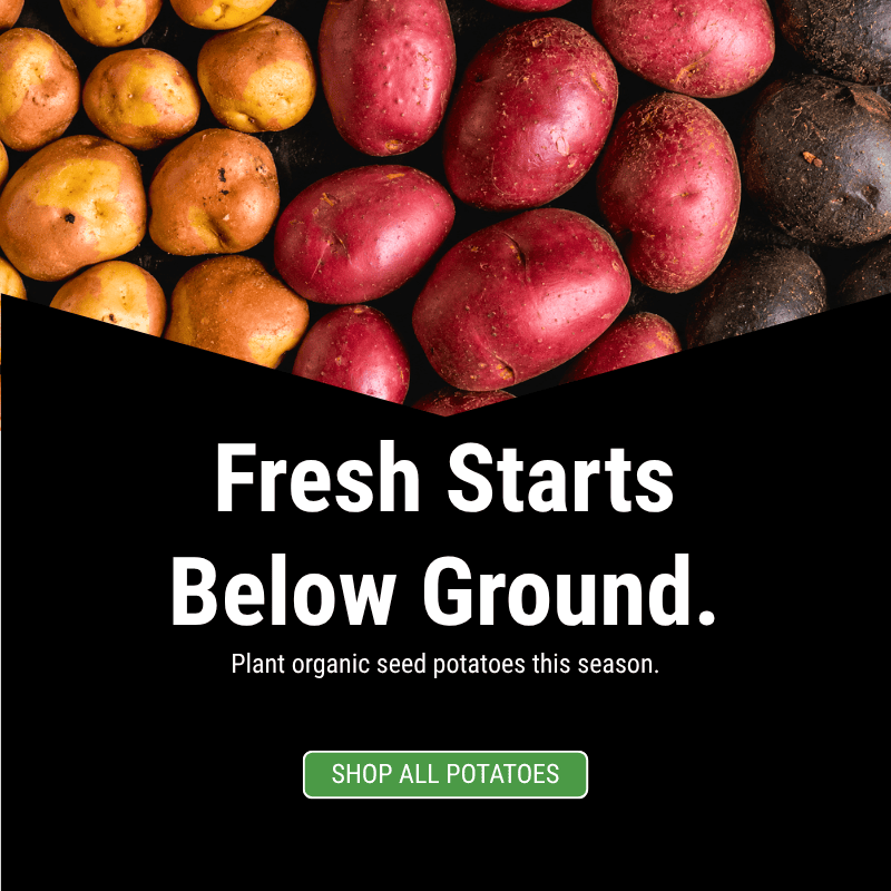 Fall Planting - 2026 - Shop Seed Potato Varieties at Grow Organic