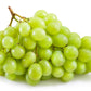 Niagara White Grape Vine Grow Organic