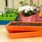1020 Extra Strength Trays - Colors Bootstrap Farmer
