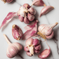 Bogatyr Garlic (lb) Grow Organic