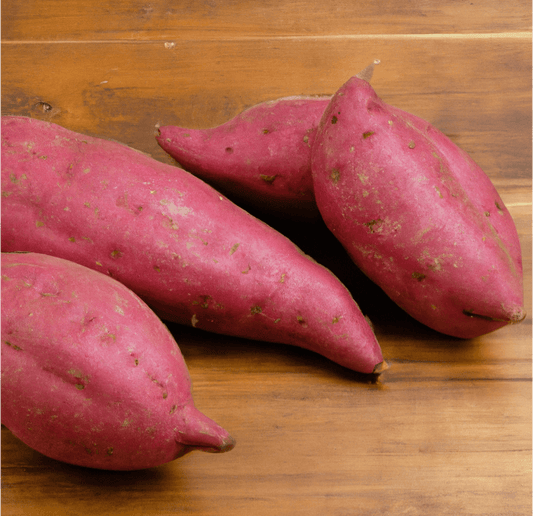 Red Japanese Sweet Potato Slips PV Drop Ship