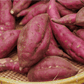 Red Japanese Sweet Potato Slips PV Drop Ship
