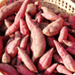 Red Japanese Sweet Potato Slips PV Drop Ship