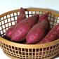 Red Japanese Sweet Potato Slips PV Drop Ship