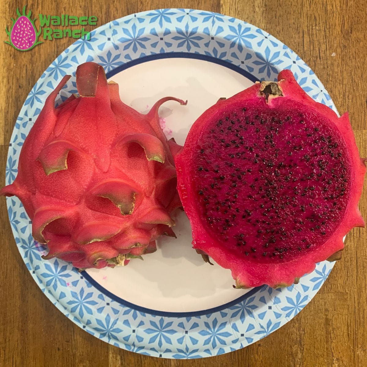 Robles Red Wallace Ranch Dragon Fruit
