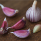 Organic Garlic, Russian Red (lb) Grow Organic