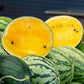 Baby Doll Watermelon Seeds San Diego Seed Company
