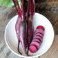 Cylindra Beet Seeds (Organic) Territorial Seed Company