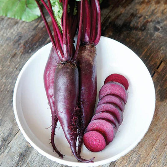 Cylindra Beet Seeds (Organic) Territorial Seed Company
