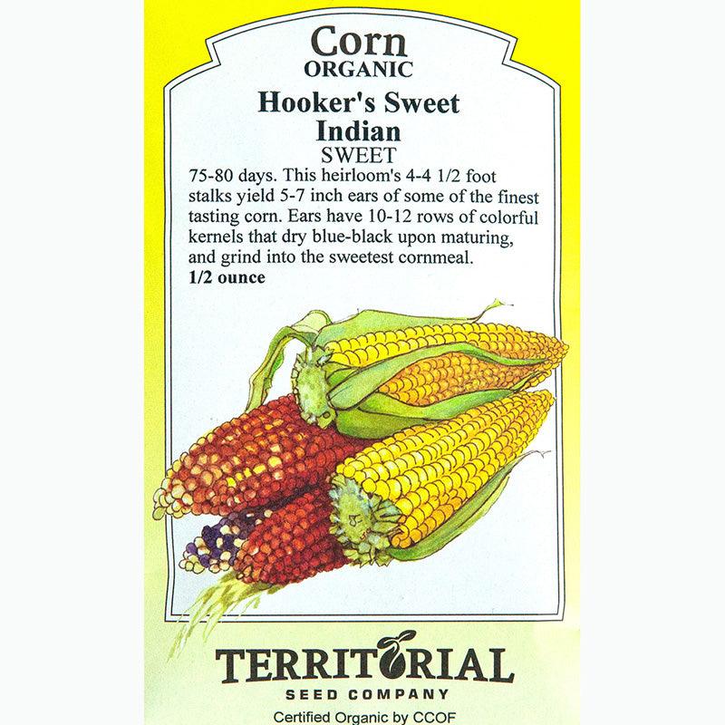 Hooker's Sweet Indian Corn Seeds (Organic) Territorial Seed Company