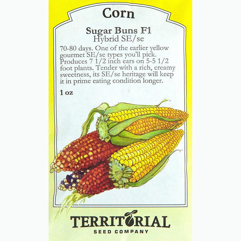 Sugar Buns Corn Seeds Territorial Seed Company
