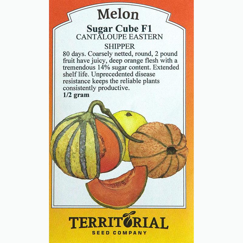 Sugar Cube Melon Seeds Territorial Seed Company