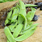 Avalanche Pea Seeds Territorial Seed Company