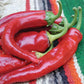Anaheim College 64 Hot Pepper Seeds Territorial Seed Company