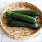 Emerald Delight Summer Squash Seeds Territorial Seed Company