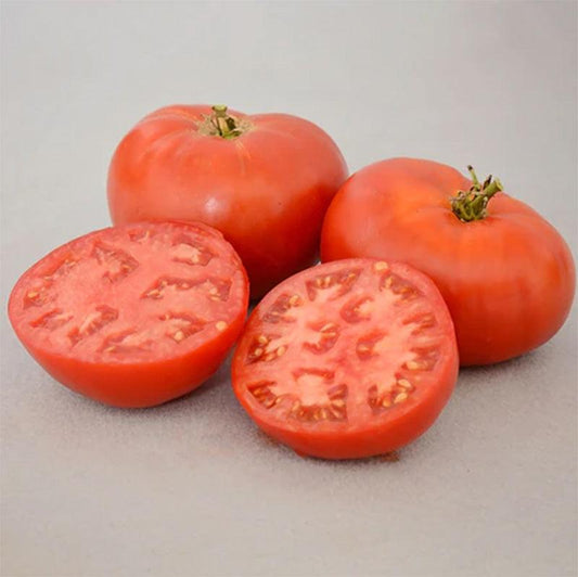 Carmello Tomato Seeds Territorial Seed Company