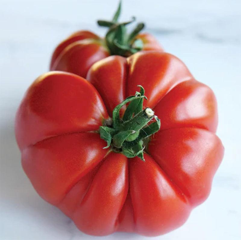 Grandma's Pick Tomato Seeds Territorial Seed Company