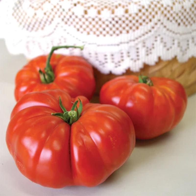 Grandma's Pick Tomato Seeds Territorial Seed Company