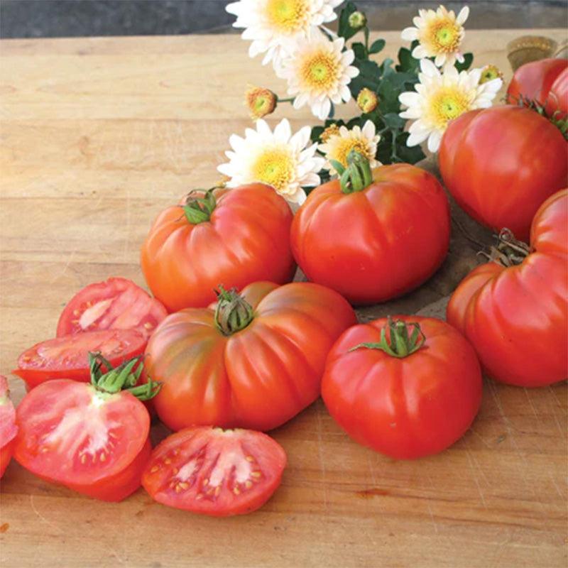 Grandma's Pick Tomato Seeds Territorial Seed Company