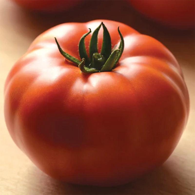 HM Genuwine Tomato Seeds Territorial Seed Company