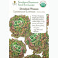 Drunken Woman Loose Leaf Lettuce Seeds (Organic) Southern Exposure Seed Exchange