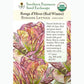 Rouge D'Hiver Romaine/Cos Lettuce Seeds (Organic) Southern Exposure Seed Exchange