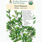 Sweet Marjoram Seeds (Organic) Southern Exposure Seed Exchange