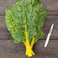 Sunset Chard Seeds (Organic) High Mowing Seeds