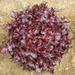 Red Oakleaf Lettuce Seeds (Organic) High Mowing Seeds