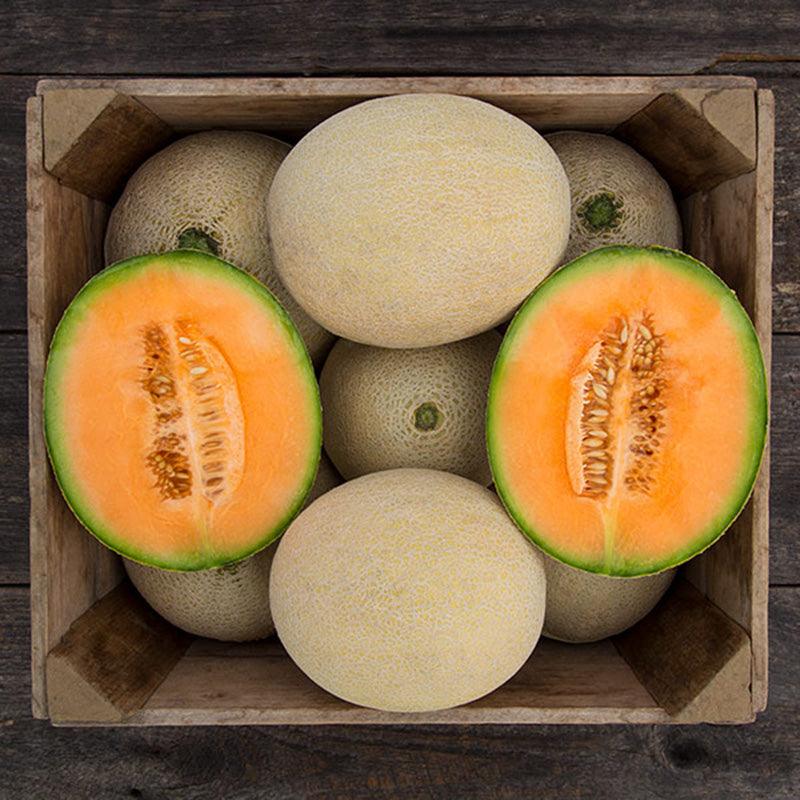 True Love F1 Melon Seeds (Organic) High Mowing Seeds