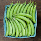 Sugar Ann Snap Pea Seeds (Organic) High Mowing Seeds