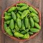 Hot Jalapeno Early Pepper Seeds (Organic) High Mowing Seeds