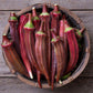 Burgundy Okra (Organic) High Mowing Seeds