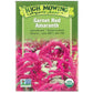 Garnet Red Amaranth Greens (Organic) High Mowing Seeds