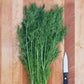 Greensleeves Dill (Organic) High Mowing Seeds