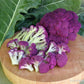 Purple Crush Cauliflower Seeds Renee's Garden