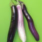 Asian Trio Specialty Eggplants Seed Mix Renee's Garden