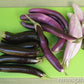 Asian Trio Specialty Eggplants Seed Mix Renee's Garden