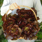 Ruby Gem Baby Romaine Lettuce Seeds Renee's Garden